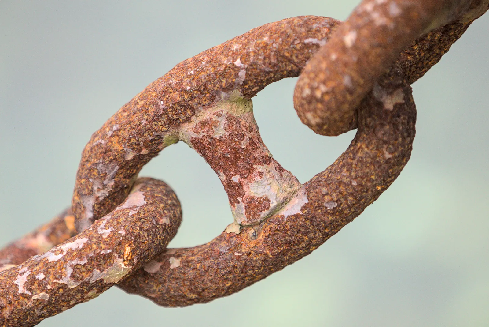 Schéma de croissance avec un maillon faible à identifier